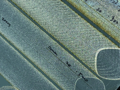 ジンク除去・けがき